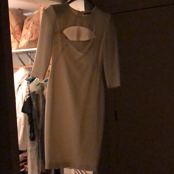 Alexander McQueen Dresses & Skirts - Alexander McQueen Cream skit long sleeve dress
